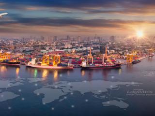 الإعفاءات الجمركية للمواد الخام ومواد التعبئة والتغليف